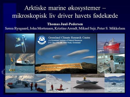 Arktiske marine økosystemer – mikroskopisk liv driver havets fødekæde