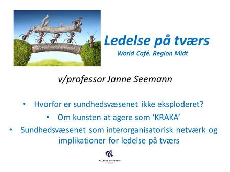 Ledelse på tværs World Café. Region Midt v/professor Janne Seemann