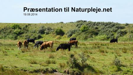 Præsentation til Naturpleje.net 19.08.2014. Netværkssamarbejde mellem 9 naturforeninger Biologisk Forening for Nordvestjylland (BFN) Danmarks Jægerforbund.
