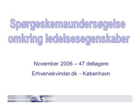 November 2006 – 47 deltagere Erhvervskvinder.dk - København.