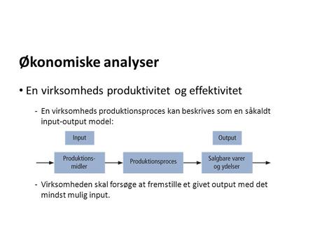 Økonomiske analyser En virksomheds produktivitet og effektivitet