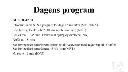 Dagens program Kl. 13.30-17.00 Introduktion til NTS + program for dagen 5 minutter (MRT/HNN) Kort bevægelseaktivitet 5-10 min (ryste sammen) (MRT) Fælles.