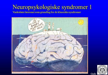 Neuropsykologiske syndromer 1