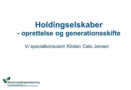 Holdingselskaber - oprettelse og generationsskifte