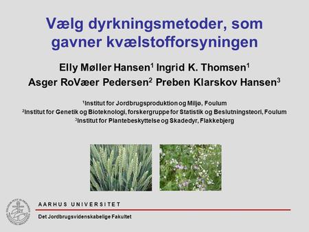 A A R H U S U N I V E R S I T E T Det Jordbrugsvidenskabelige Fakultet Vælg dyrkningsmetoder, som gavner kvælstofforsyningen Elly Møller Hansen 1 Ingrid.