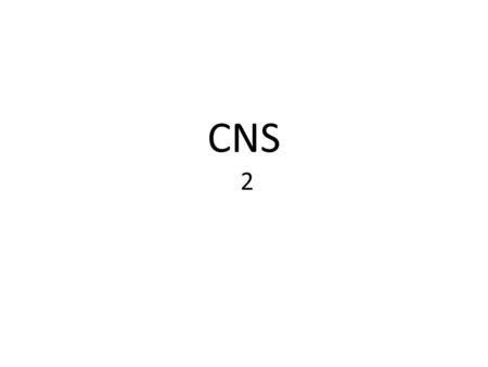 CNS 2.