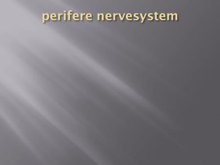 Perifere nervesystem.