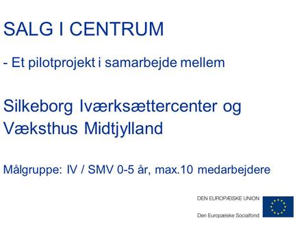 SALG I CENTRUM - Et pilotprojekt i samarbejde mellem Silkeborg Iværksættercenter og Væksthus Midtjylland Målgruppe: IV / SMV 0-5 år, max.10 medarbejdere.
