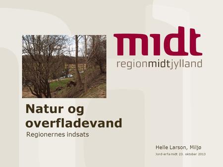 Natur og overfladevand Regionernes indsats Helle Larson, Miljø Jord-erfa midt 23. oktober 2013.