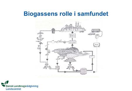 Dansk Landbrugsrådgivning Landscentret Biogassens rolle i samfundet.
