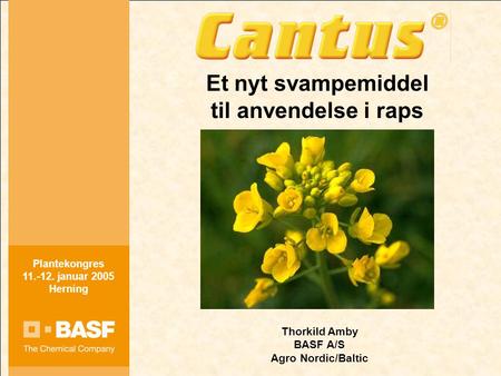 Plantekongres 11.-12. januar 2005 Herning 1 Et nyt svampemiddel til anvendelse i raps Thorkild Amby BASF A/S Agro Nordic/Baltic Plantekongres 11.-12. januar.
