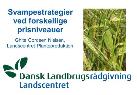 Svampestrategier ved forskellige prisniveauer Ghita Cordsen Nielsen, Landscentret Planteproduktion.