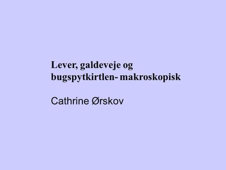 Lever, galdeveje og bugspytkirtlen- makroskopisk Cathrine Ørskov.