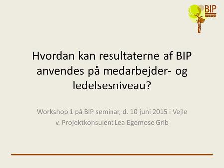 Workshop 1 på BIP seminar, d. 10 juni 2015 i Vejle