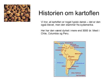 Historien om kartoflen Vi tror, at kartoflen er noget typisk dansk – det er den også blevet, men den stammer fra sydamerika. Her har den været dyrket i.