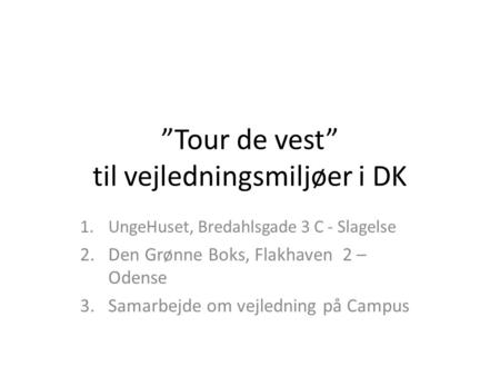 ”Tour de vest” til vejledningsmiljøer i DK 1.UngeHuset, Bredahlsgade 3 C - Slagelse 2.Den Grønne Boks, Flakhaven 2 – Odense 3.Samarbejde om vejledning.