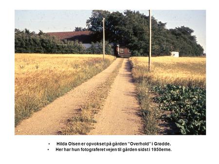 Hilda Olsen er opvokset på gården ”Overhold” i Grødde. Her har hun fotograferet vejen til gården sidst i 1950erne.