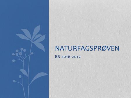 Naturfagsprøven BS 2016-2017.