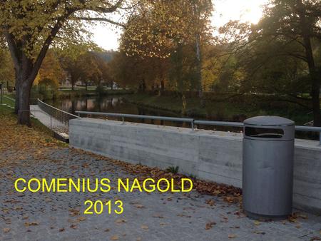 COMENIUS NAGOLD 2013. BRIEF PRESENTATION OF THE SCHOOLS FROM THE PROJECT COMENIUS.
