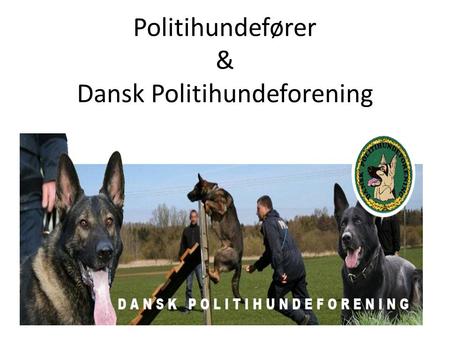 Politihundefører & Dansk Politihundeforening