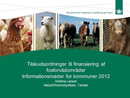 Tilskudsordninger til finansiering af fosforvådområder Informationsmøder for kommuner 2012 Kristina Larsen NaturErhvervstyrelsen, Tønder.