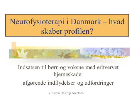 Neurofysioterapi i Danmark – hvad skaber profilen?
