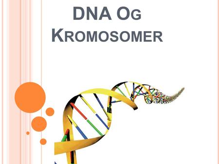 DNA Og Kromosomer.