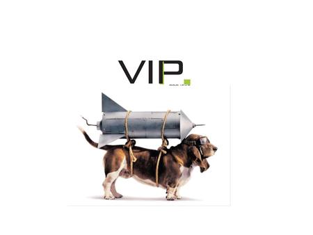 Hvad er VIP for noget? Projekt-VIP (Viden- og InnovationsPartnerskaber) handler om at skabe tværprofessionelle partnerskaber, der baner vejen for udvikling.