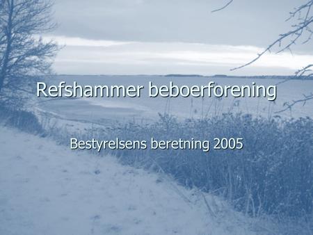 Refshammer beboerforening Bestyrelsens beretning 2005.