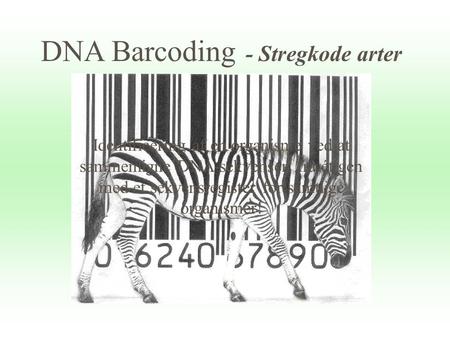 DNA Barcoding - Stregkode arter