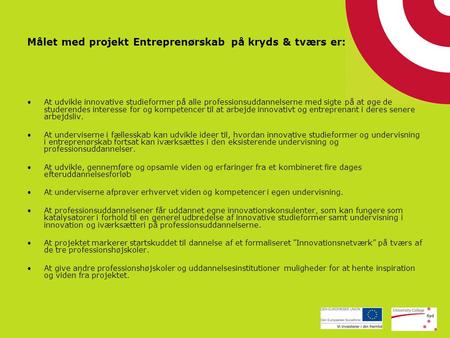 Målet med projekt Entreprenørskab på kryds & tværs er: