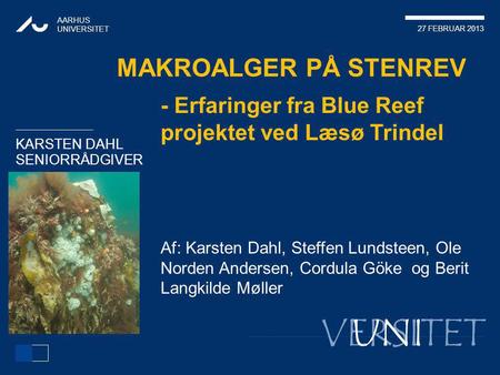 Makroalger på stenrev - Erfaringer fra Blue Reef projektet ved Læsø Trindel Af: Karsten Dahl, Steffen Lundsteen, Ole Norden Andersen, Cordula Göke og.