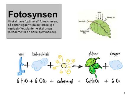 Fotosynsen. Vi skal have ”optimeret” fotosyntesen, så derfor kigger vi på de forskellige nærigstoffer, planterne skal bruge (billederne fra en norsk.