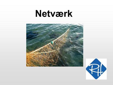 Netværk.