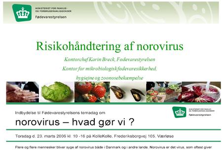 Risikohåndtering af norovirus