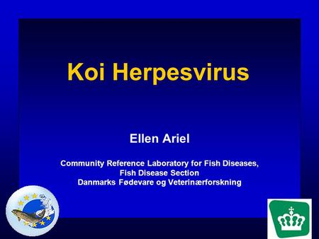 Ellen Ariel Community Reference Laboratory for Fish Diseases, Fish Disease Section Danmarks Fødevare og Veterinærforskning Koi Herpesvirus Først i oktober.