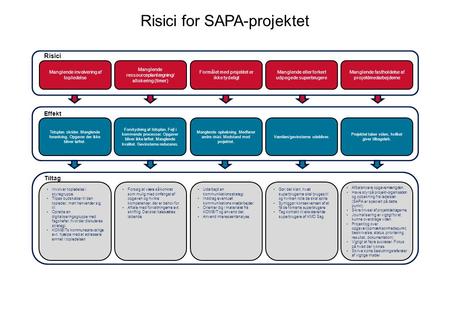 Risici for SAPA-projektet