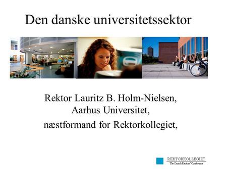 Den danske universitetssektor