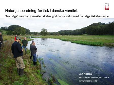 Naturgenopretning for fisk i danske vandløb