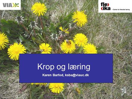 Krop og læring Karen Barfod, ksba@viauc.dk.