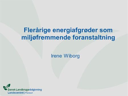 Dansk Landbrugsrådgivning Landscentret | Planteavl Flerårige energiafgrøder som miljøfremmende foranstaltning Irene Wiborg.