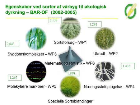 Egenskaber ved sorter af vårbyg til økologisk dyrkning – BAR-OF (2002-2005) Molekylære markører - WP5 Sortsforsøg – WP1 Specielle Sortsblandinger Sygdomskomplekser.