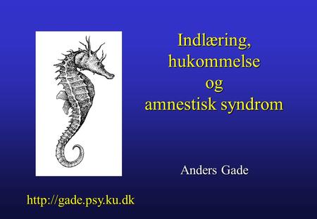 Indlæring, hukommelse og amnestisk syndrom Anders Gade