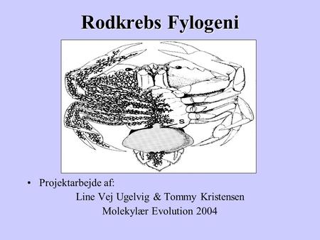 Rodkrebs Fylogeni Projektarbejde af: Line Vej Ugelvig & Tommy Kristensen Molekylær Evolution 2004.
