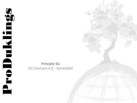ProDuklings Principle Six EQ Danmark A/S - Nyhedsfelt.