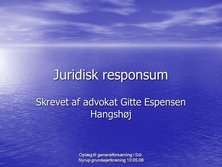 Oplæg til generalforsamling i Sdr. Nyrup grundejerforening 10.05.06 Juridisk responsum Skrevet af advokat Gitte Espensen Hangshøj.