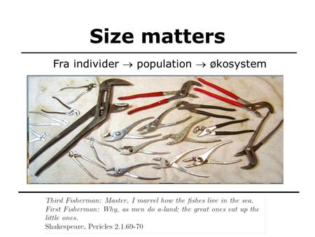 Size matters TexPoint fonts used in EMF: AAAAA Fra individer  population  økosystem.