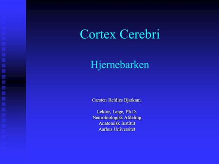 Cortex Cerebri Hjernebarken
