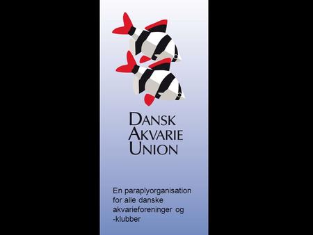 En paraplyorganisation for alle danske akvarieforeninger og -klubber.