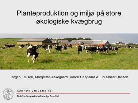 Planteproduktion og miljø på store økologiske kvægbrug Jørgen Eriksen, Margrethe Askegaard, Karen Søegaard & Elly Møller Hansen A A R H U S U N I V E R.